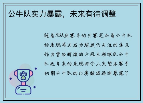 公牛队实力暴露，未来有待调整
