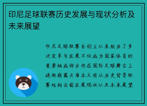 印尼足球联赛历史发展与现状分析及未来展望