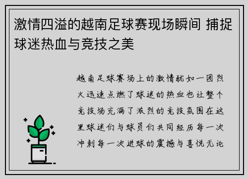 激情四溢的越南足球赛现场瞬间 捕捉球迷热血与竞技之美