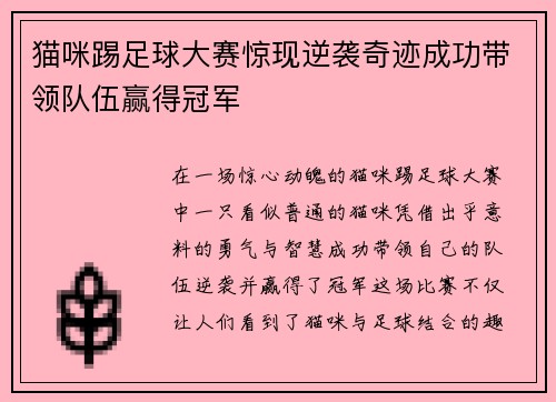 猫咪踢足球大赛惊现逆袭奇迹成功带领队伍赢得冠军