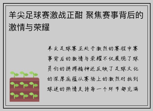 羊尖足球赛激战正酣 聚焦赛事背后的激情与荣耀