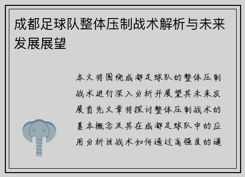 成都足球队整体压制战术解析与未来发展展望